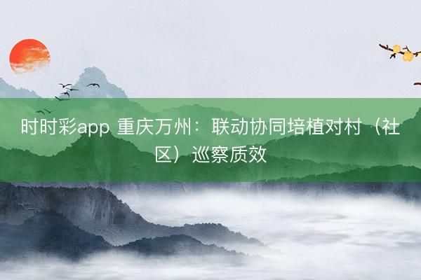 時時彩app 重慶萬州:聯動協同培植對村(社區)巡察質效